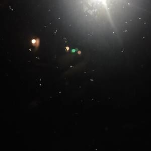 Meet your Posher, Stifler